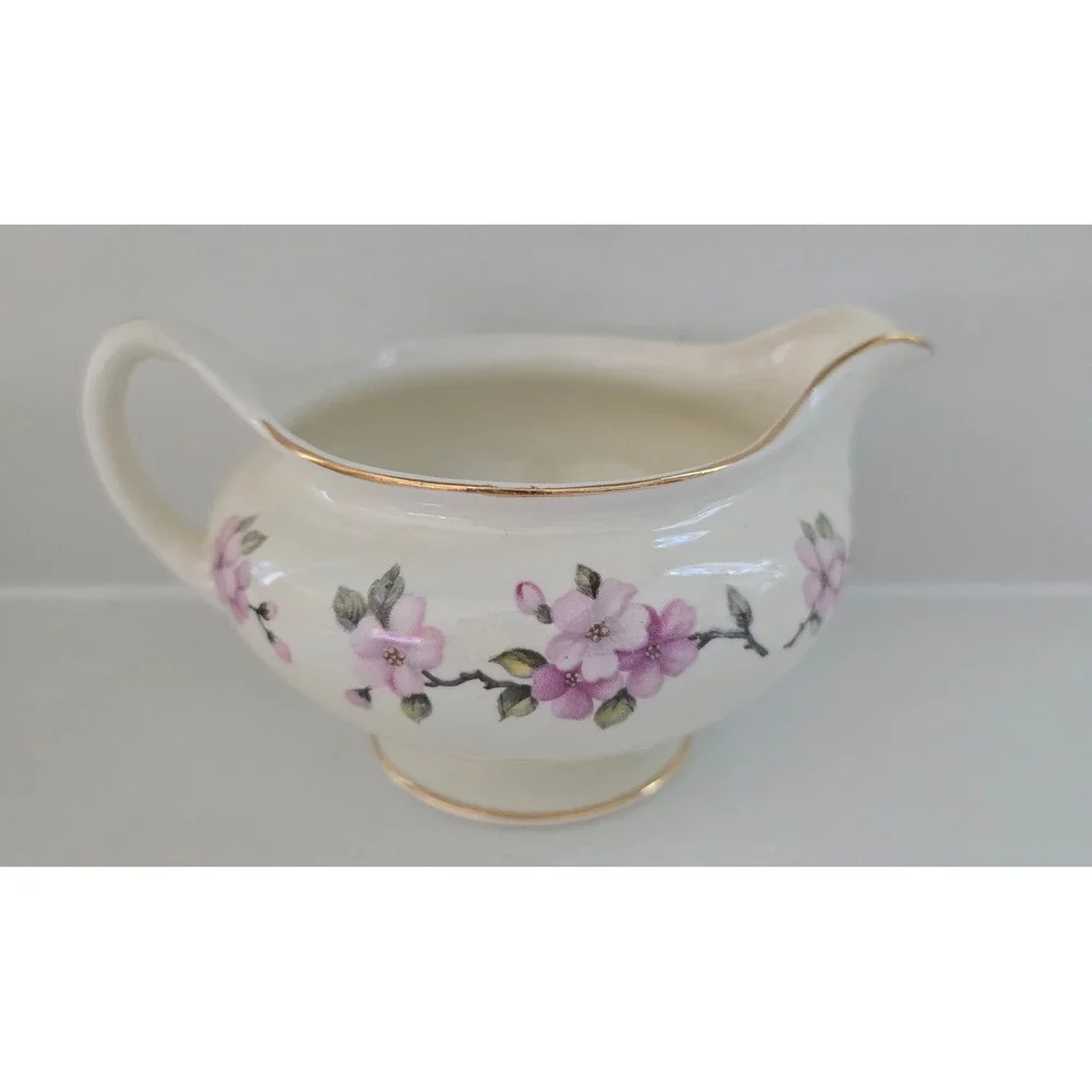 Eggshell Nautilus vintage eggshell
